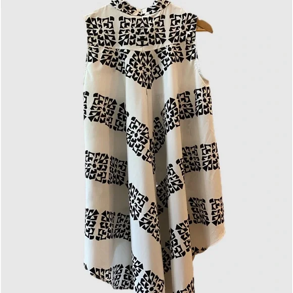 ashro black and white dress RING LEADER STRIPED MAXI DRESS  AKIRA